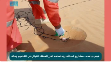 فرص واعدة.. مشاريع استثمارية ضخمة تعزز الغطاء النباتي في القصيم ومكة